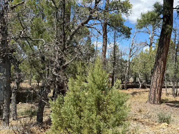 1226 Green Ridge Drive #80, Happy Jack, AZ 86024