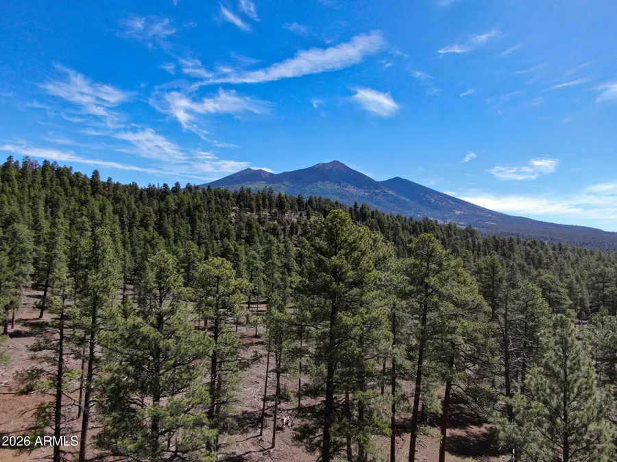 7690 W Taylor Springs Lane #63, Flagstaff, AZ 86001 - #2