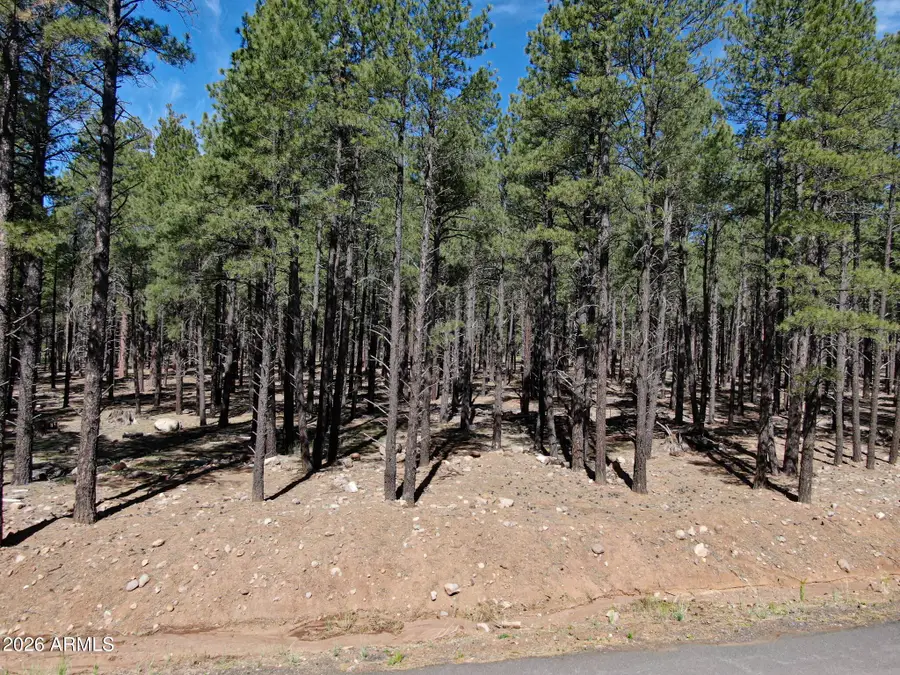 9576 Ranch At The Peaks Way #66, Flagstaff, AZ 86001 - #2