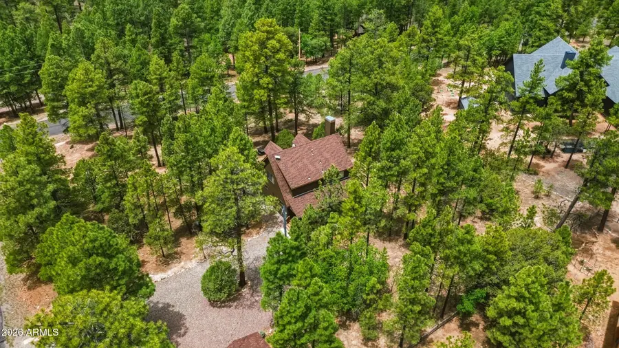 4075 Horseshoe Drive, Happy Jack, AZ 86024 - #3