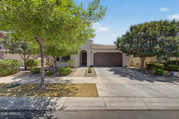 9919 E Thornbush Avenue, Mesa, AZ 85212