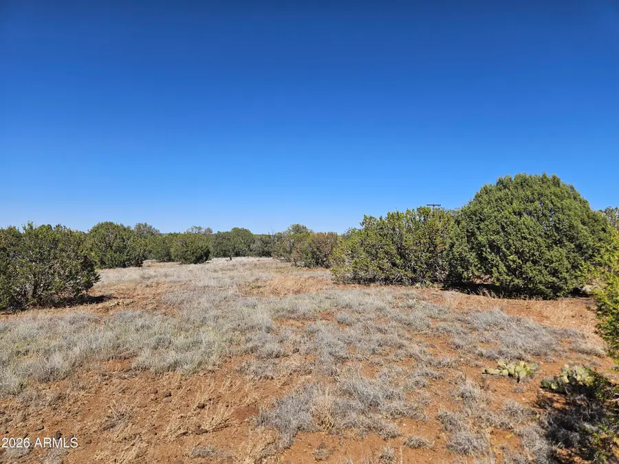 8423 Navajo Drive, Show Low, AZ 85901 - #2