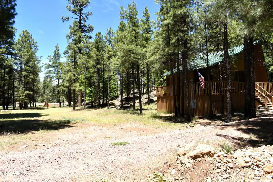 2509 Deer Ridge Drive, Happy Jack, AZ 86024 - #3