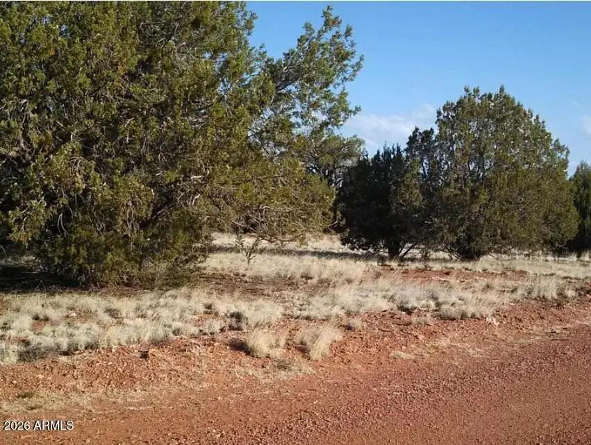 625 Mystery Lane, Seligman, AZ 86337 - #1