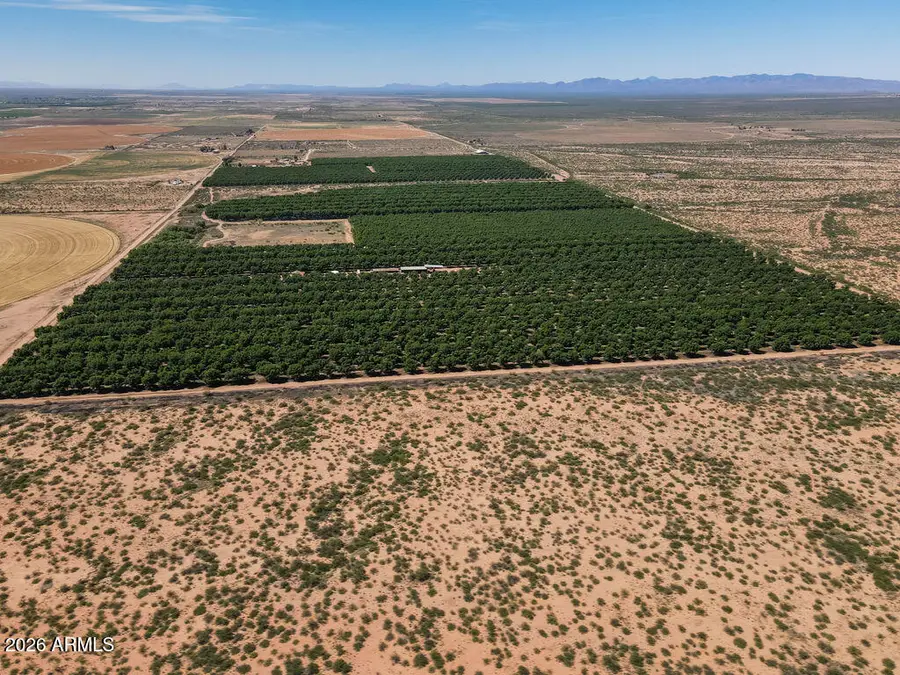 4972 W Gleeson Road #2, Elfrida, AZ 85610 - #3