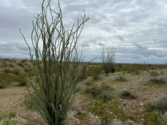 0003 W Highland Avenue, Tonopah, AZ 85354 - #2