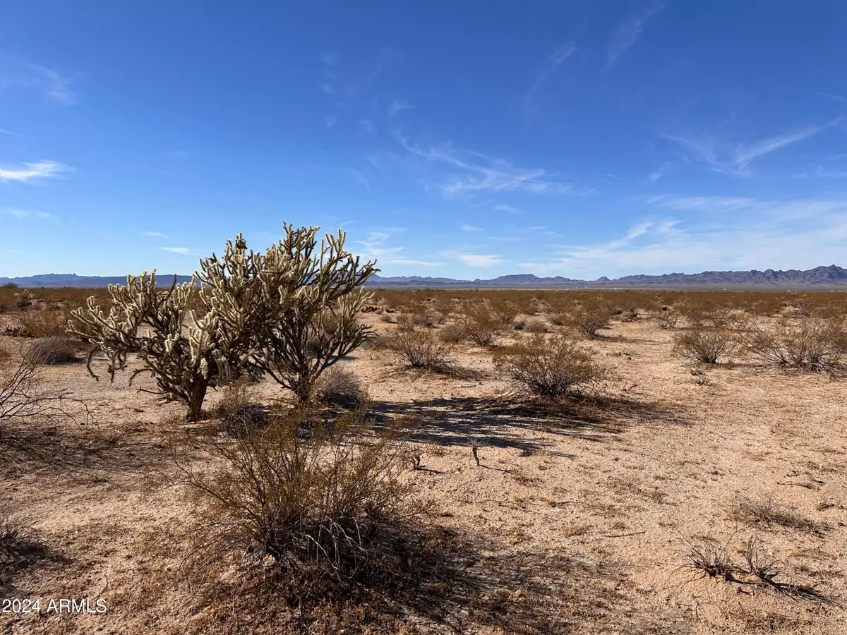 35224 Horizon View #44, Bouse, AZ 85325 - #1