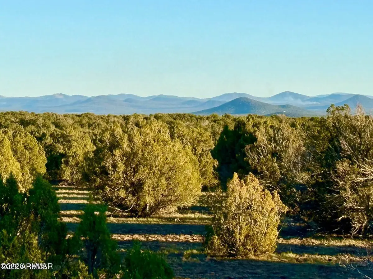 9023 Appaloosa Lots A & C --, Show Low, AZ 85901 - #1