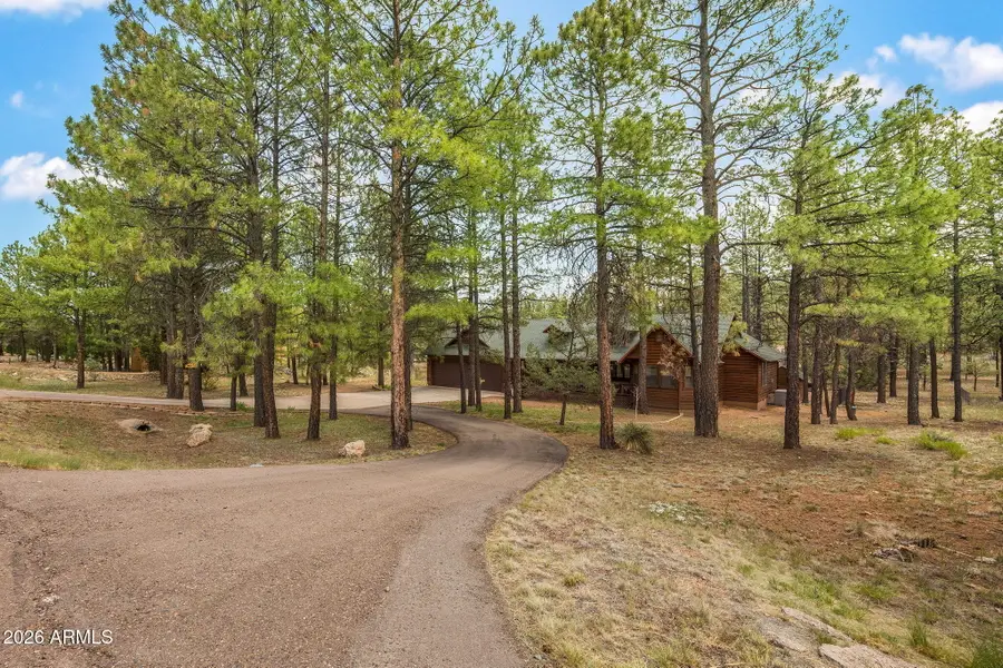 2917 Lodgepole Road, Overgaard, AZ 85933 - #2