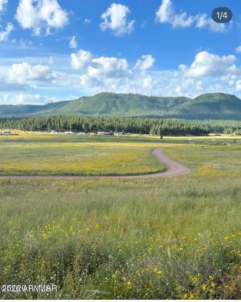 27 County Road 2330 -- #32, Alpine, AZ 85920 - #1