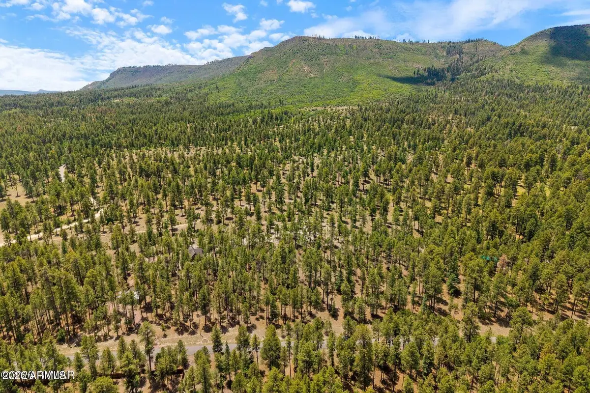 98 County Road 2266 --, Alpine, AZ 85920 - #1