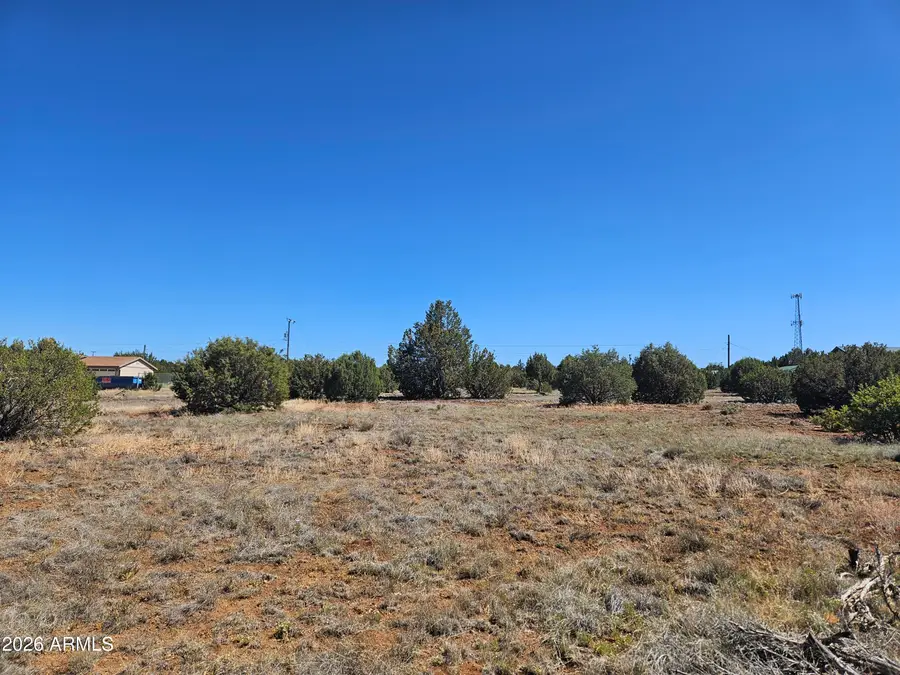 2429 Bourdon Ranch Road #F, Show Low, AZ 85901 - #2