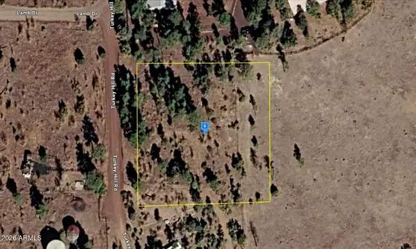 1219 Turkey Hill Road, Pinedale, AZ 85934