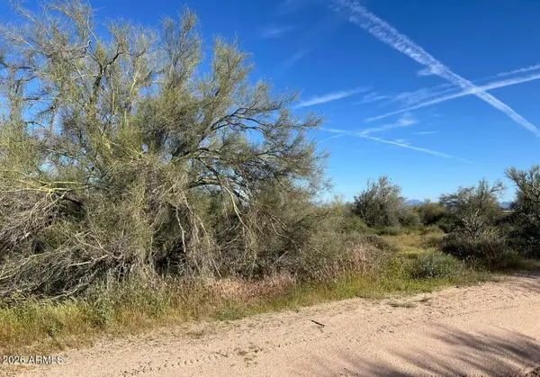 168xx N 168 E Street, Rio Verde, AZ 85263