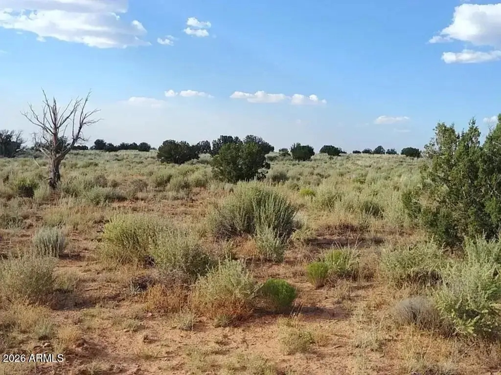 00 Kims Ranch Road, Snowflake, AZ 85937 - #1