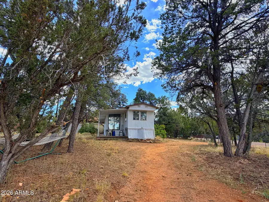 3405 Buckhorn Bend Road, Overgaard, AZ 85933 - #2
