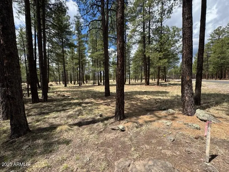 Lot 1 Hattie Greene -- #1, Flagstaff, AZ 86001 - #3