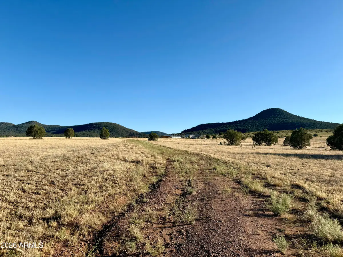 228B S Dutchmans Trail, Young, AZ 85554 - #1