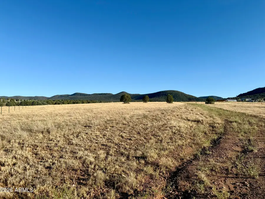 228B S Dutchmans Trail, Young, AZ 85554 - #2