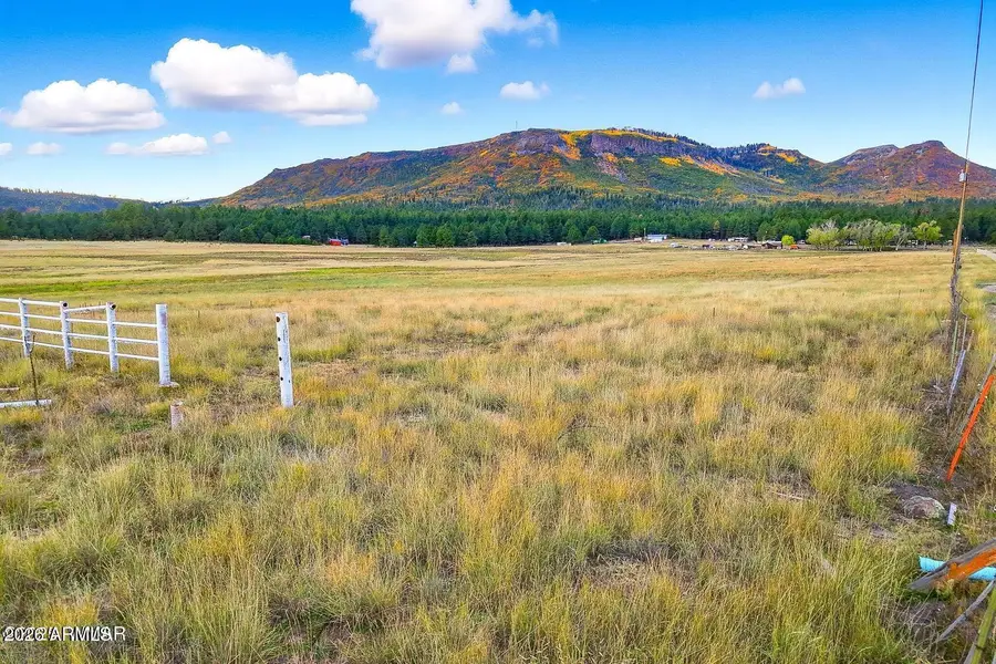 TBD Alpine Unsubdivided --, Alpine, AZ 85920 - #2