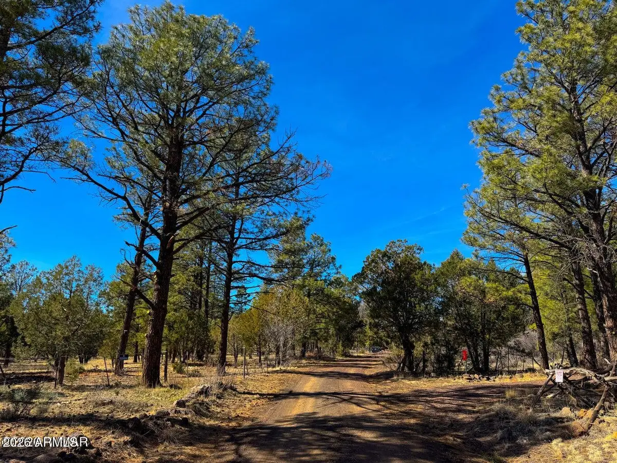 11 Co Rd 3262 5 Acres --, Vernon, AZ 85940 - #1