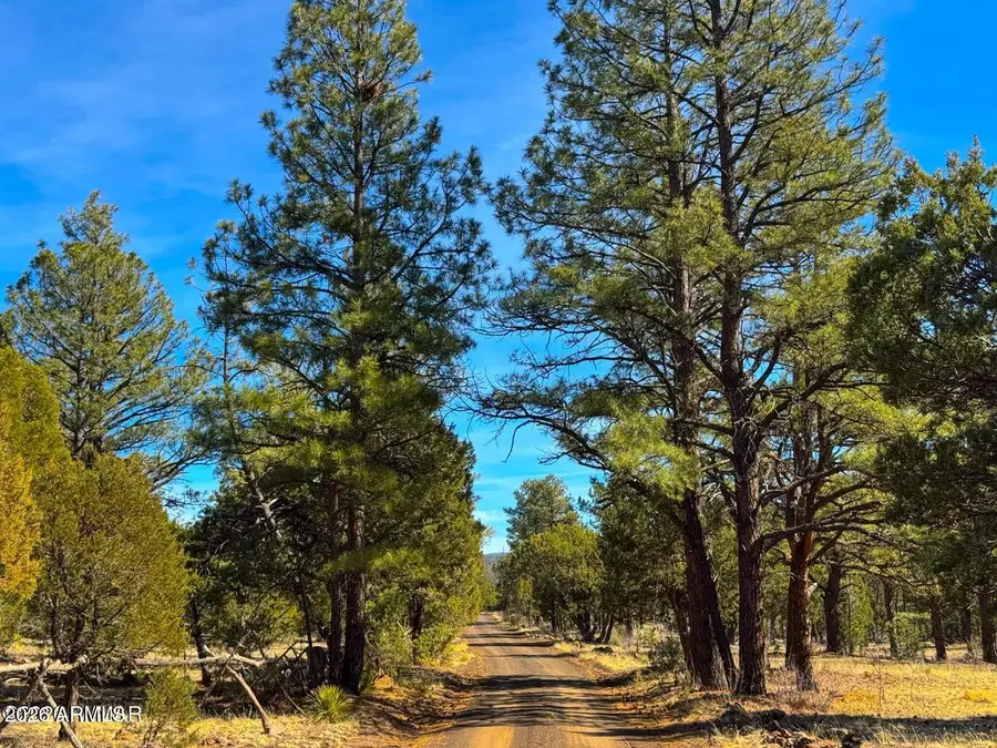 11 Co Rd 3262 5 Acres --, Vernon, AZ 85940 - #2