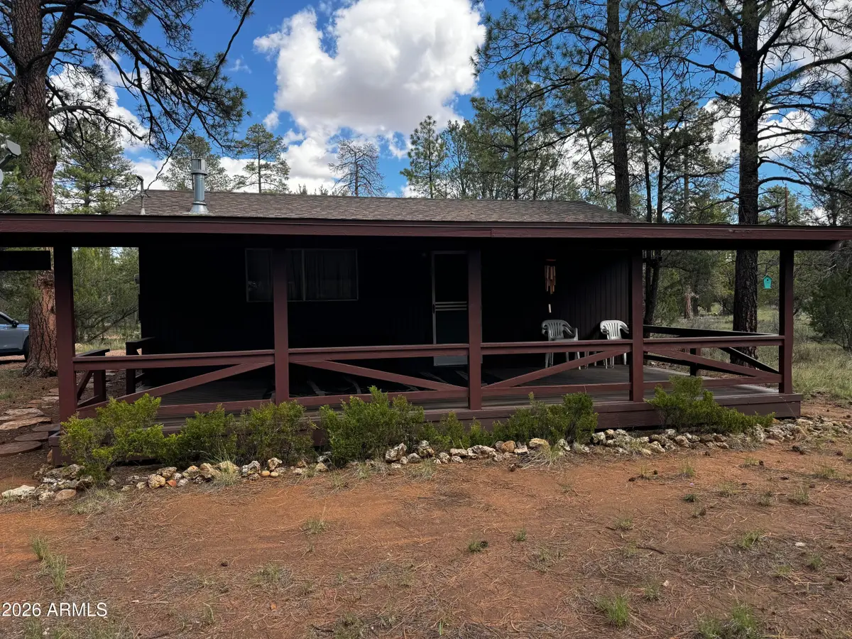 2943 Buckskin Road, Overgaard, AZ 85933 - #1