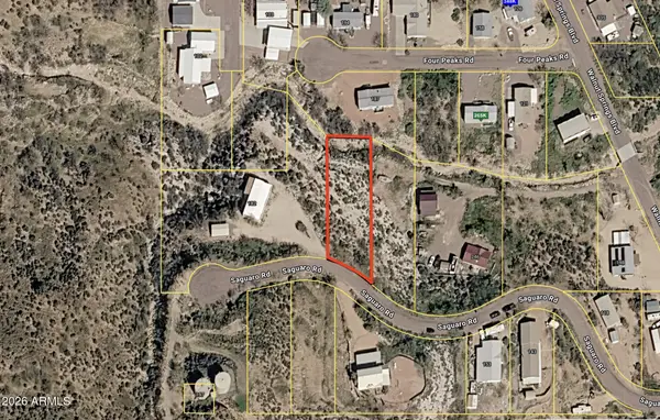 72 W Saguaro Road #72, Tonto Basin, AZ 85553