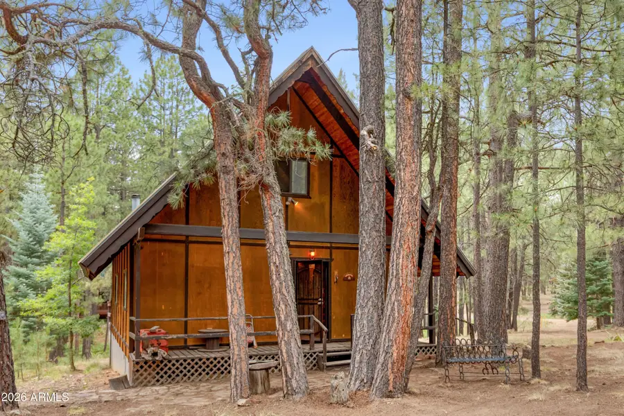 2716 Rim Loop, Forest Lakes, AZ 85931 - #3
