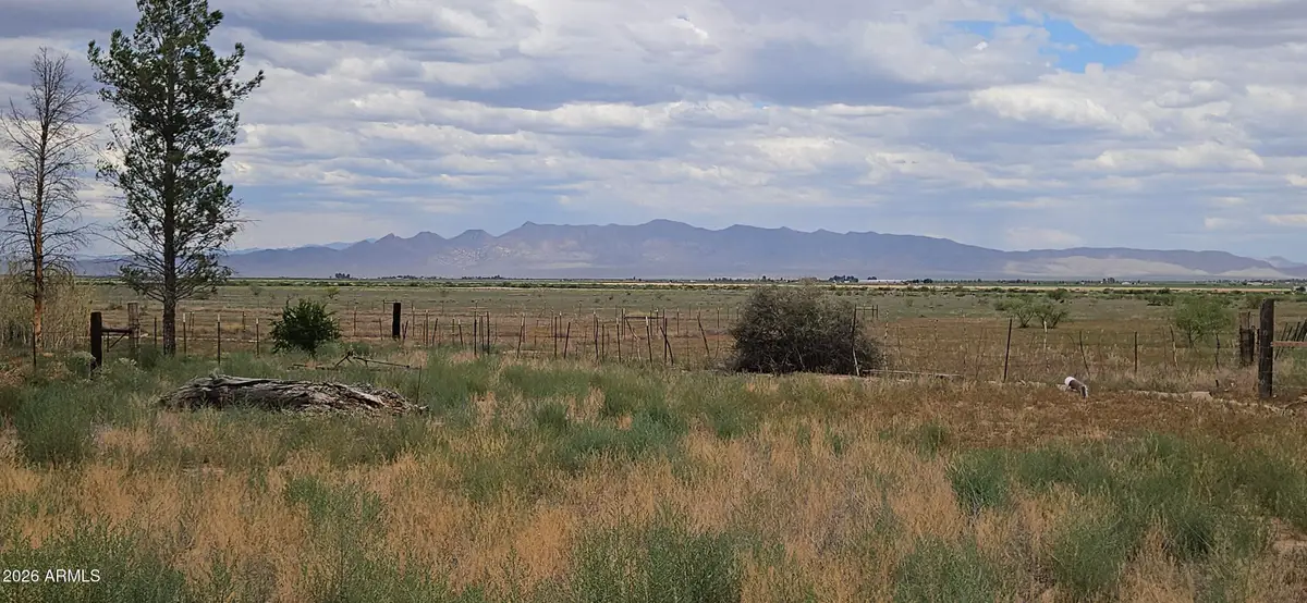 52 Acres W Davis Road, McNeal, AZ 85617 - #1