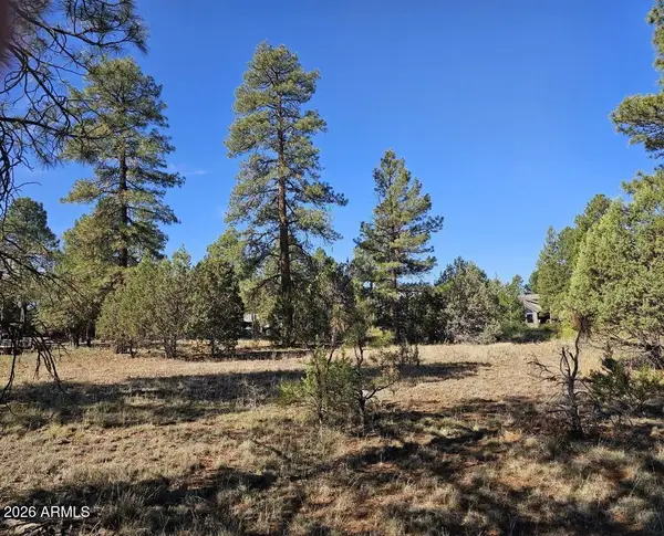 2236 Moccasin Drive #208, Overgaard, AZ 85933