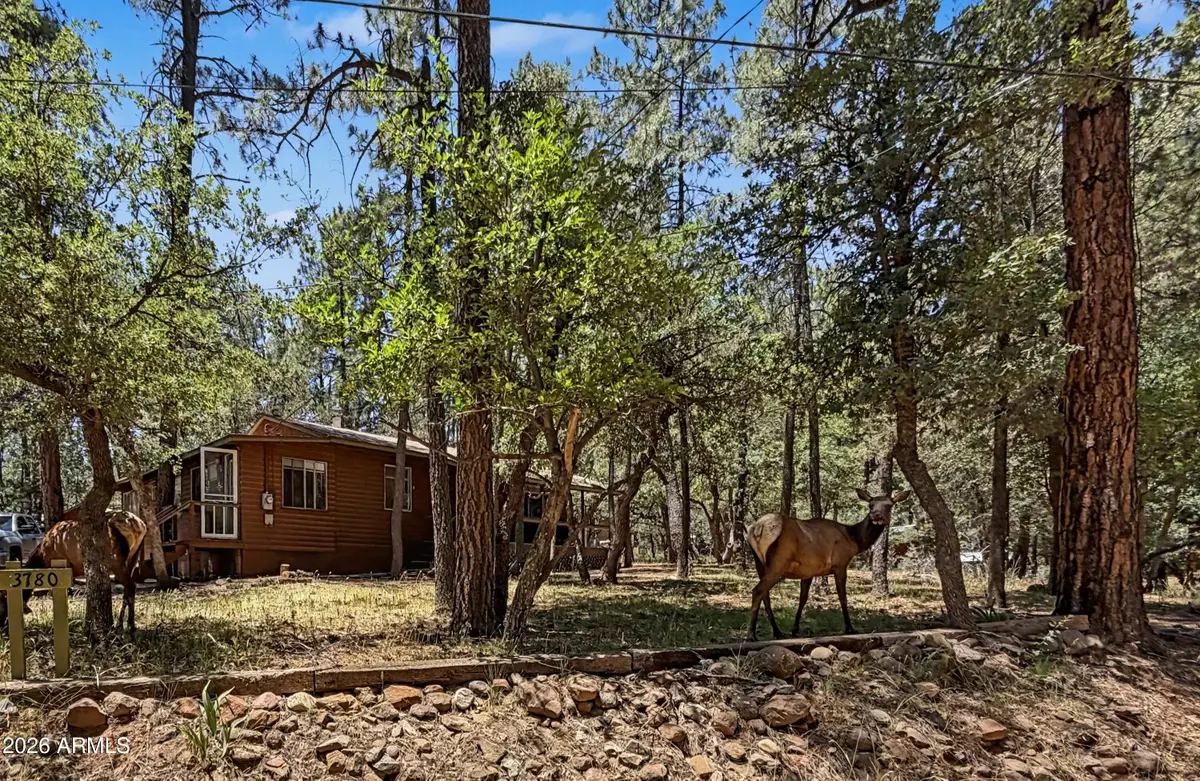 3780 N Hunt Drive, Pine, AZ 85544 - #1