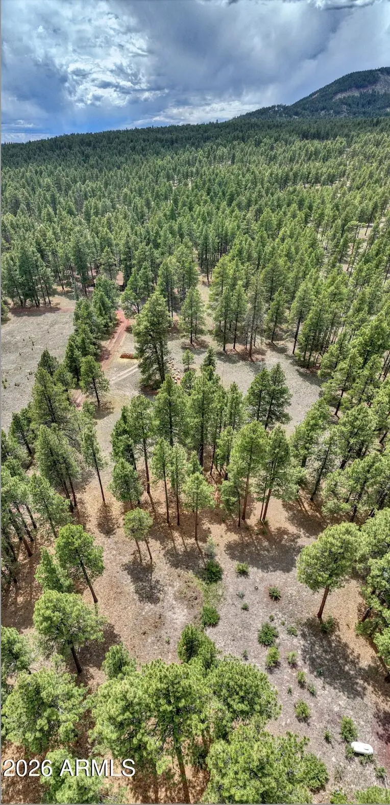 12847 E Dream Acres Lane, Parks, AZ 86018 - #3