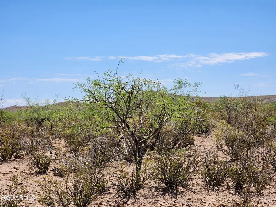 lot a Bowers Road #21, Huachuca City, AZ 85616 - #3