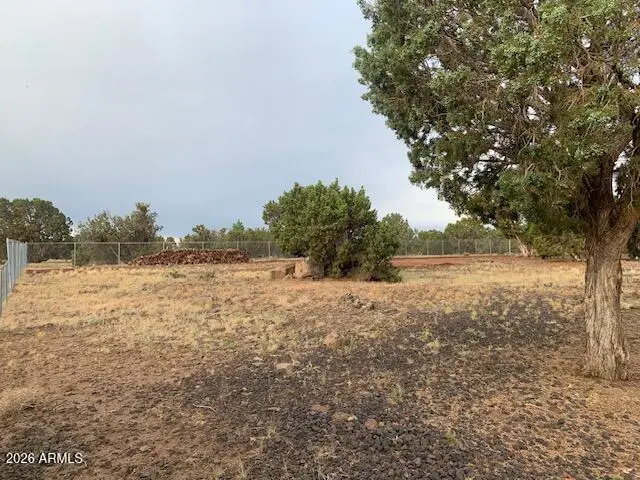 8537 Elkhorn Drive #19, Show Low, AZ 85901 - #3