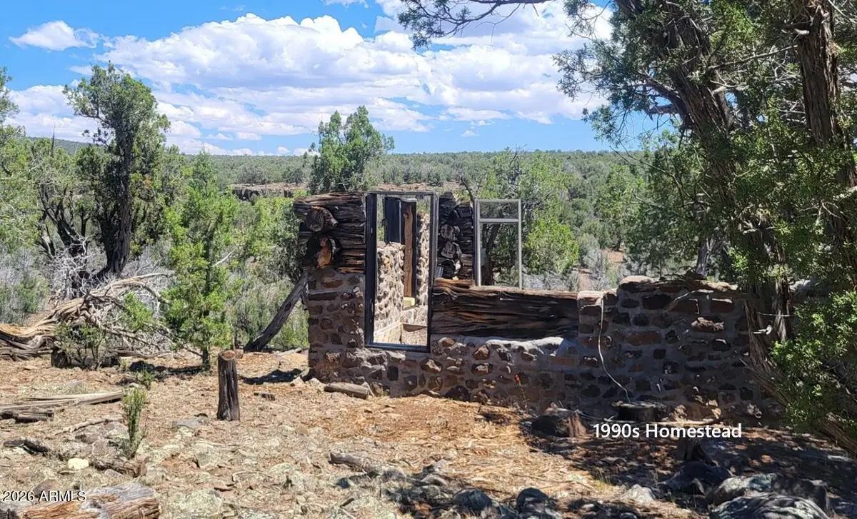 997 E Timberhill Road #997, Williams, AZ 86046 - #1