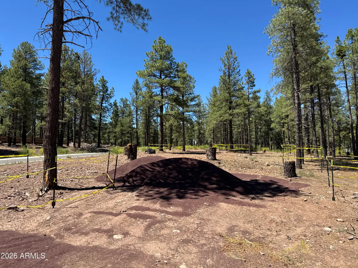 1985 Flower Spring Trl -- #59, Flagstaff, AZ 86005 - #1