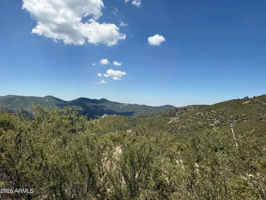 00 S Boulder Ridge Road, Crown King, AZ 86343 - #3