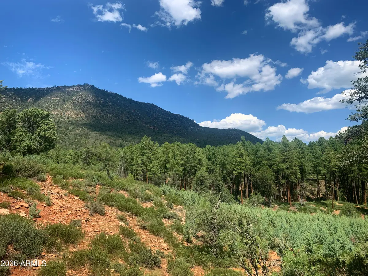 Lot 49 W Ruin Hill Loop Loop #49, Pine, AZ 85544 - #1