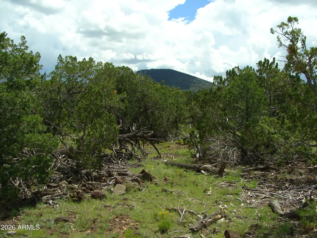 000 W Calle Adan -- #4992, Seligman, AZ 86337 - #1