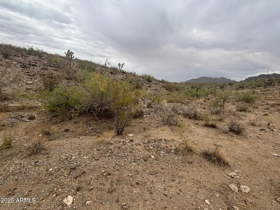 000 N Mohave Drive #48, Dolan Springs, AZ 86441 - #3