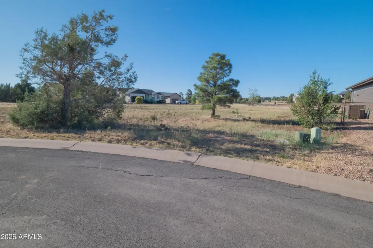 981 S Lorenzo Sitgreaves Drive #75, Show Low, AZ 85901 - #1