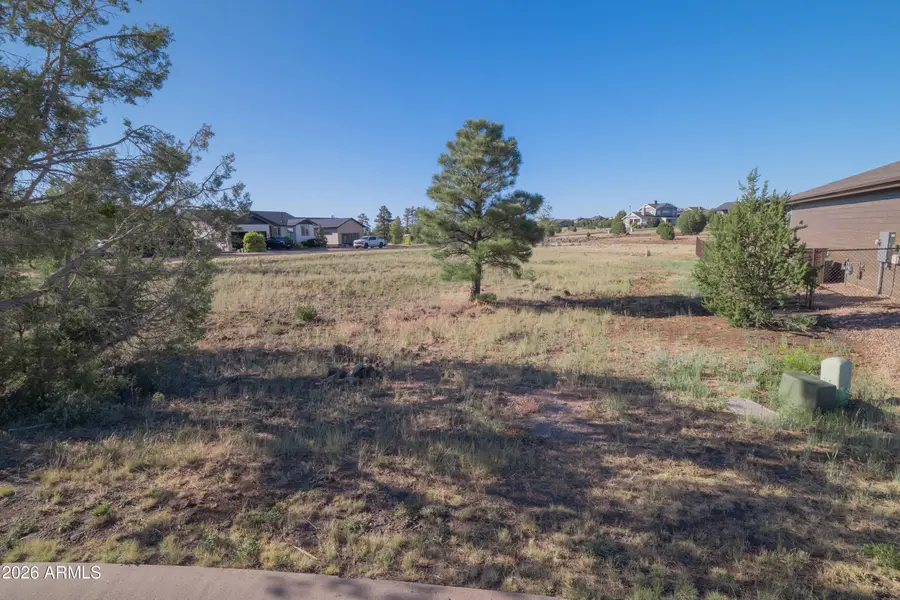 981 S Lorenzo Sitgreaves Drive #75, Show Low, AZ 85901 - #2