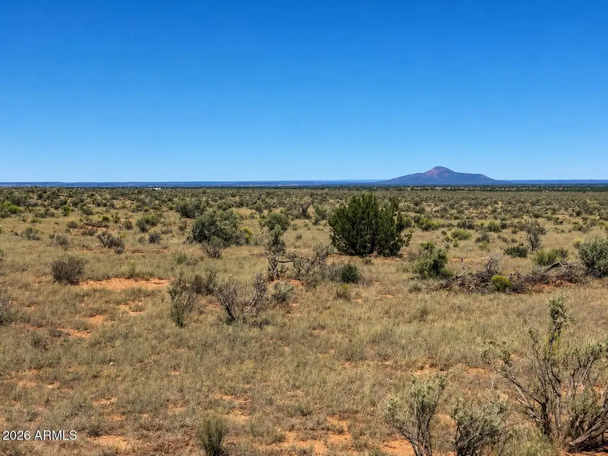 3973 E Valle Road #1, Williams, AZ 86046 - #1