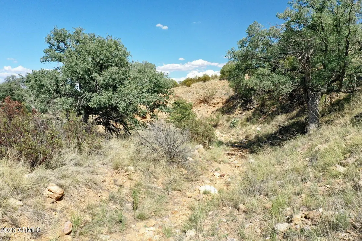 1 S Andalusian Way #1, Hereford, AZ 85615 - #1