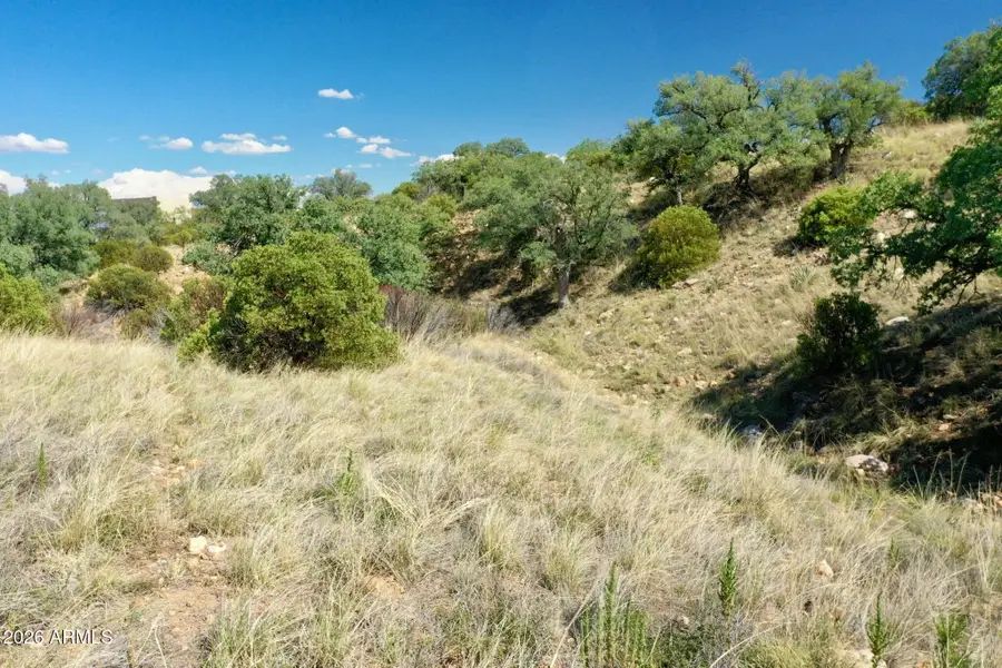 1 S Andalusian Way #1, Hereford, AZ 85615 - #2