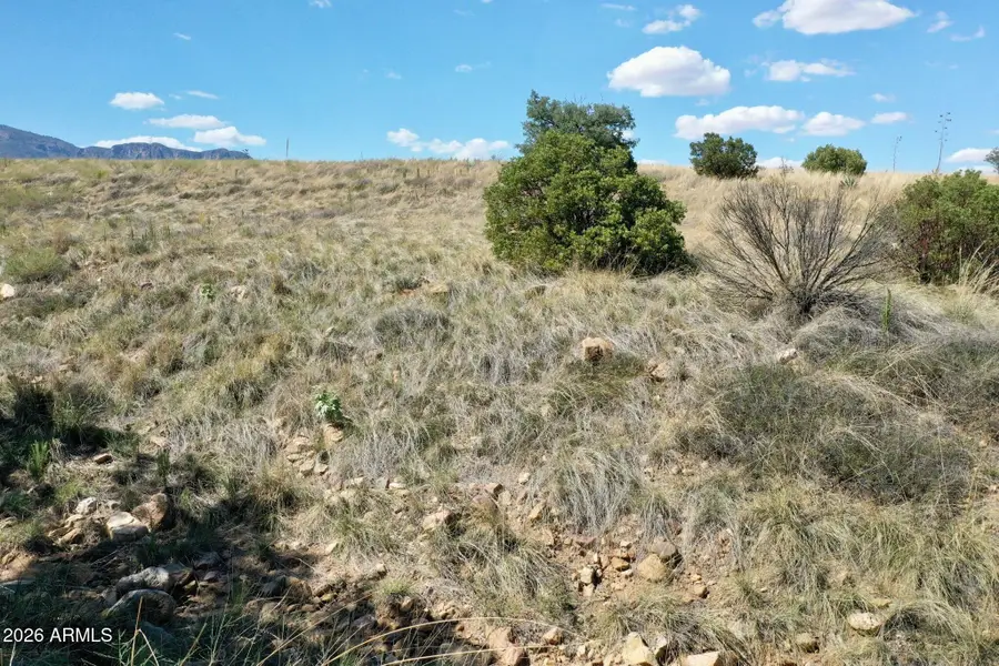 1 S Andalusian Way #1, Hereford, AZ 85615 - #3