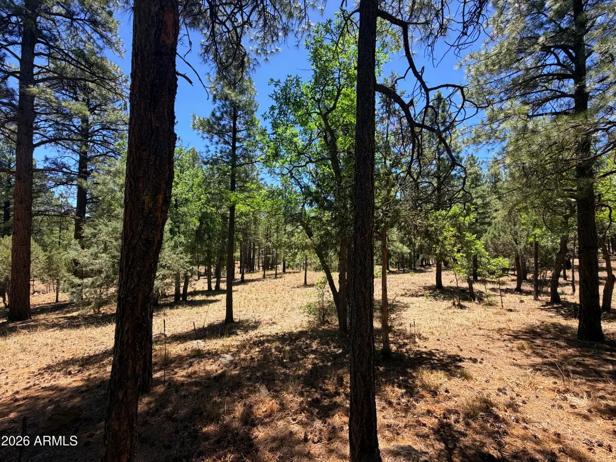 4215 Apache Drive #428, Happy Jack, AZ 86024 - #1