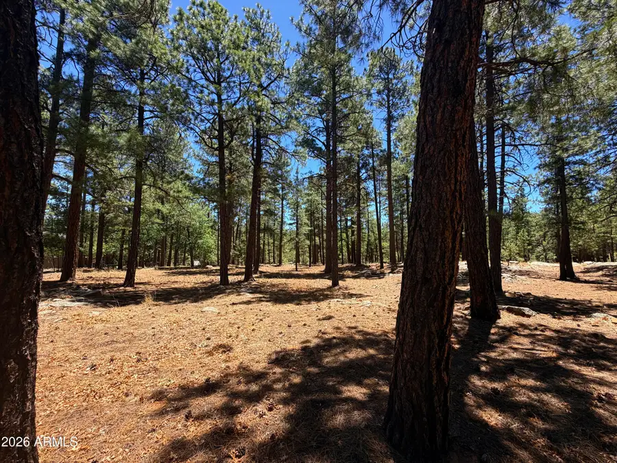 4215 Apache Drive #428, Happy Jack, AZ 86024 - #2