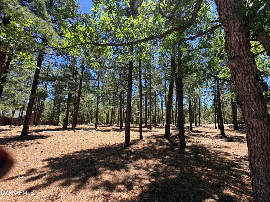 4215 Apache Drive #428, Happy Jack, AZ 86024 - #3